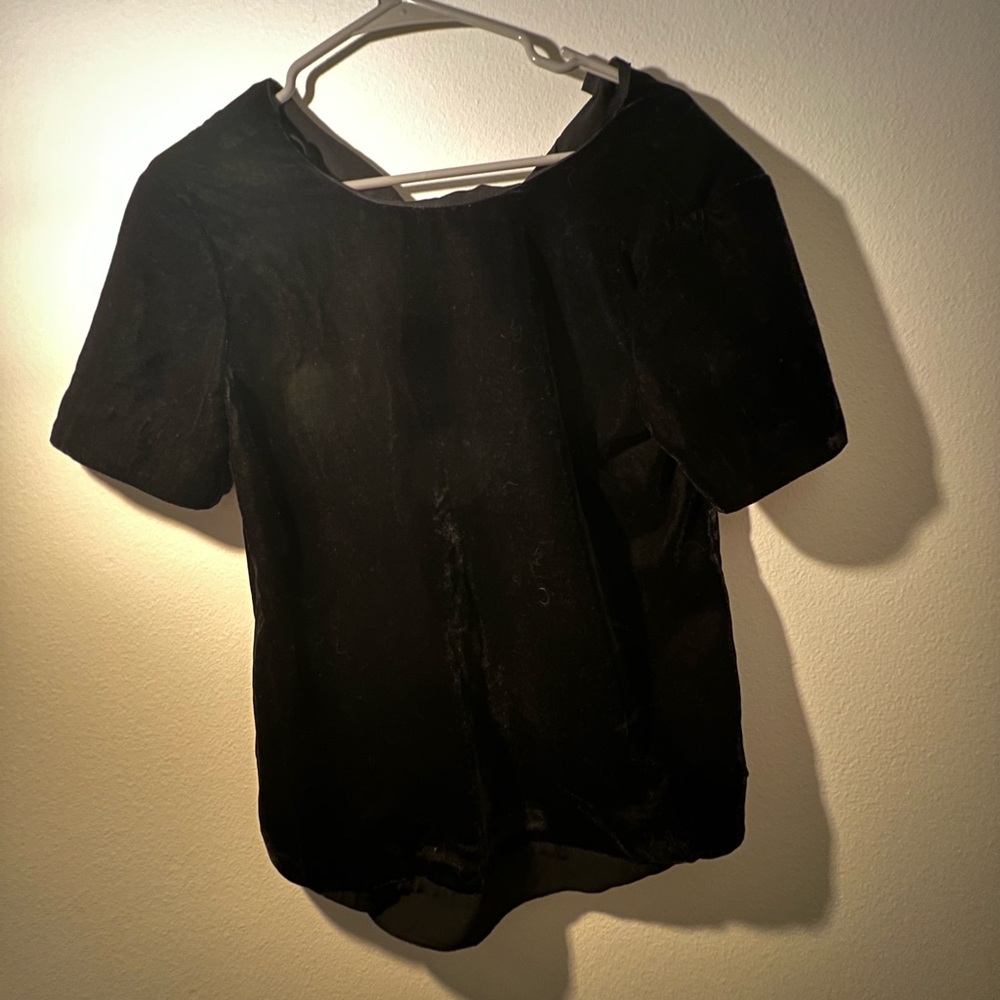 Velvet dressy Dalia Black Short Sleeve Top